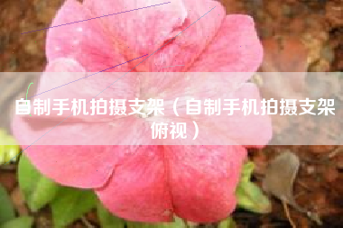 自制手机拍摄支架（自制手机拍摄支架俯视）