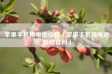 苹果手机换电池价格（苹果手机换电池价格官网）