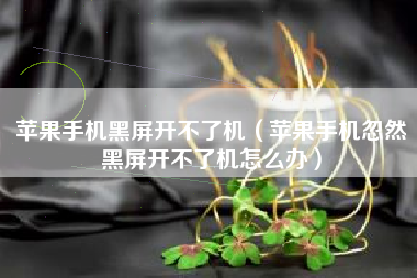 苹果手机黑屏开不了机（苹果手机忽然黑屏开不了机怎么办）