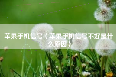 苹果手机信号（苹果手机信号不好是什么原因）