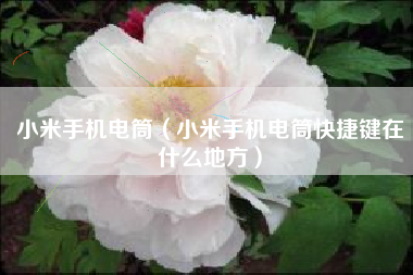 小米手机电筒（小米手机电筒快捷键在什么地方）