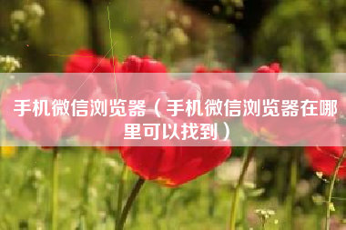 手机微信浏览器（手机微信浏览器在哪里可以找到）