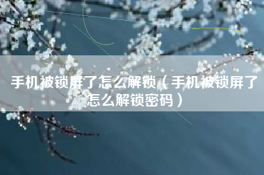 手机被锁屏了怎么解锁（手机被锁屏了怎么解锁密码）