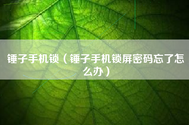 锤子手机锁（锤子手机锁屏密码忘了怎么办）