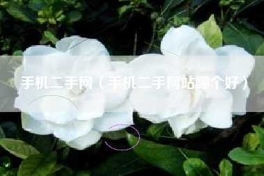 手机二手网（手机二手网站哪个好）