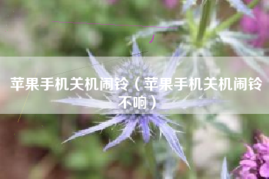 苹果手机关机闹铃（苹果手机关机闹铃不响）