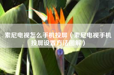 索尼电视怎么手机投屏（索尼电视手机投屏设置方法图解）
