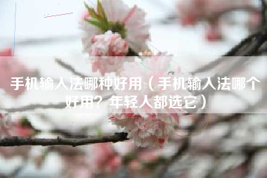 手机输入法哪种好用（手机输入法哪个好用？年轻人都选它）