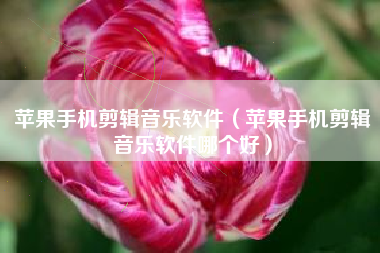 苹果手机剪辑音乐软件（苹果手机剪辑音乐软件哪个好）