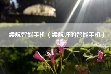 续航智能手机（续航好的智能手机）