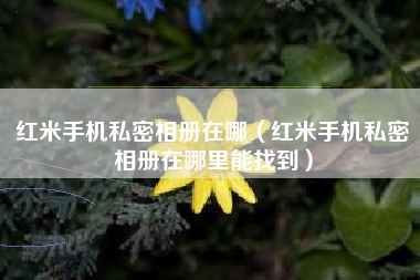 红米手机私密相册在哪（红米手机私密相册在哪里能找到）
