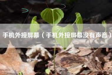 手机外接屏幕（手机外接屏幕没有声音）
