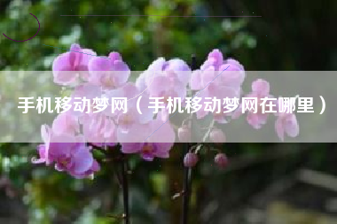 手机移动梦网（手机移动梦网在哪里）