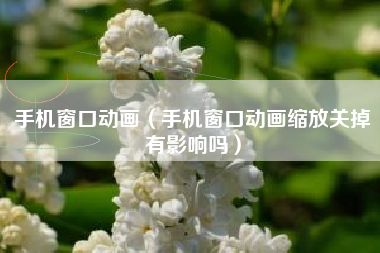 手机窗口动画（手机窗口动画缩放关掉有影响吗）