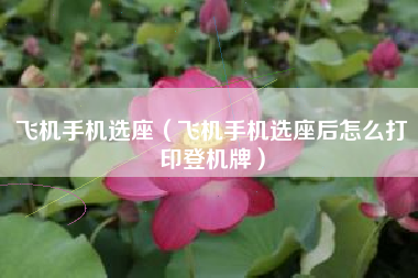 飞机手机选座（飞机手机选座后怎么打印登机牌）