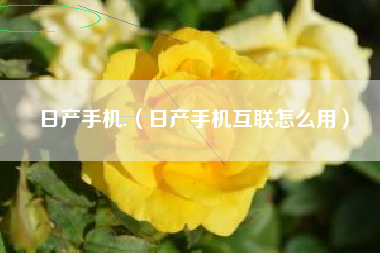 日产手机.（日产手机互联怎么用）