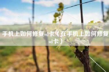 手机上如何修复sd卡（在手机上如何修复sd卡）