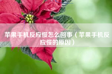 苹果手机反应慢怎么回事（苹果手机反应慢的原因）