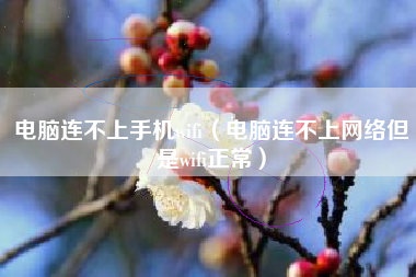 电脑连不上手机wifi（电脑连不上网络但是wifi正常）