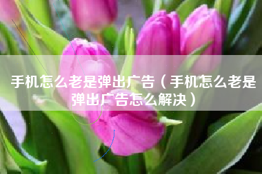手机怎么老是弹出广告（手机怎么老是弹出广告怎么解决）