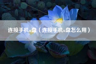 连接手机u盘（连接手机u盘怎么用）