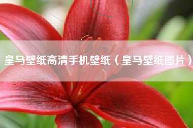 皇马壁纸高清手机壁纸（皇马壁纸图片）