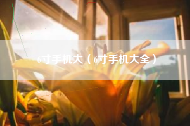 6寸手机大（6寸手机大全）