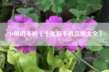 10前的手机（十年前手机品牌大全）