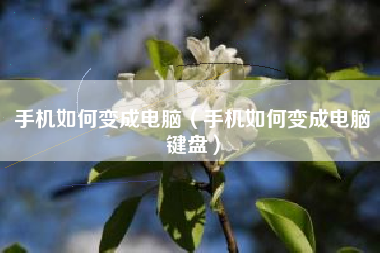 手机如何变成电脑（手机如何变成电脑键盘）