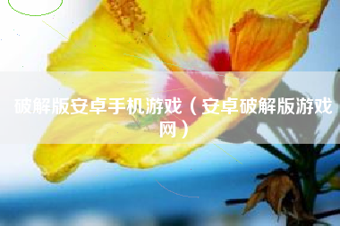 破解版安卓手机游戏（安卓破解版游戏网）
