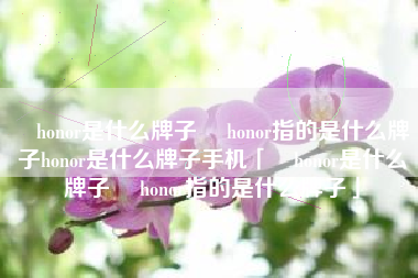 ​honor是什么牌子 ​honor指的是什么牌子honor是什么牌子手机「​honor是什么牌子 ​honor指的是什么牌子」