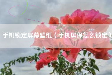 手机锁定屏幕壁纸（手机屏保怎么锁定）