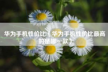 华为手机性价比（华为手机性价比最高的是哪一款）