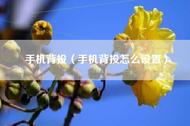 手机背投（手机背投怎么设置）