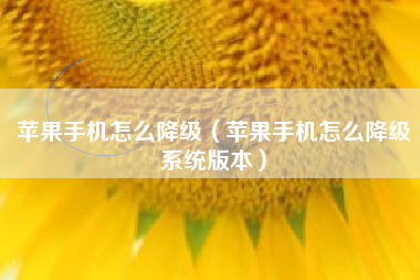 苹果手机怎么降级（苹果手机怎么降级系统版本）