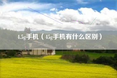 4.5g手机（45g手机有什么区别）