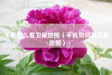 手机怎么看卫星地图（手机如何看卫星地图）