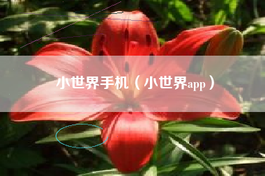 小世界手机（小世界app）