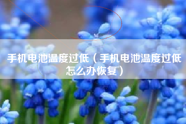 手机电池温度过低（手机电池温度过低怎么办恢复）
