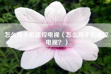 怎么用手机遥控电视（怎么用手机遥控电视？）