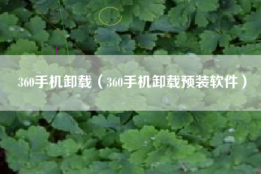 360手机卸载（360手机卸载预装软件）