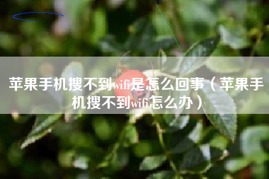 苹果手机搜不到wifi是怎么回事（苹果手机搜不到wifi怎么办）
