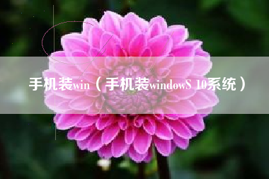 手机装win（手机装windowS 10系统）