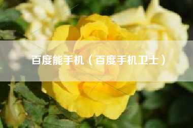 百度能手机（百度手机卫士）