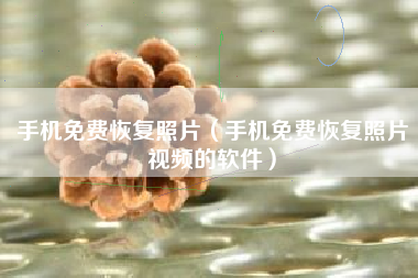 手机免费恢复照片（手机免费恢复照片视频的软件）