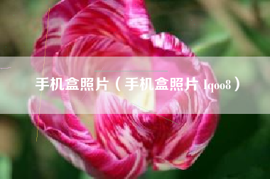 手机盒照片（手机盒照片 Iqoo8）