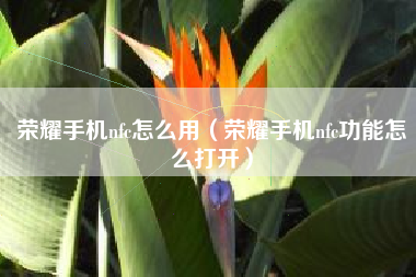 荣耀手机nfc怎么用（荣耀手机nfc功能怎么打开）