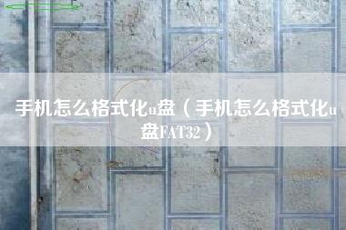 手机怎么格式化u盘（手机怎么格式化u盘FAT32）