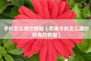 手机怎么清空数据（苹果手机怎么清空所有的数据）