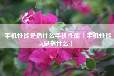 手机性能是指什么手机性能「手机性能是指什么」